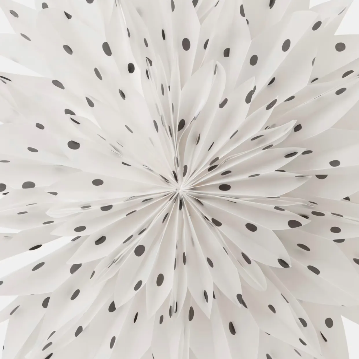 Adventsstjärna Eva Dots Dia 50cm Svart/Vit