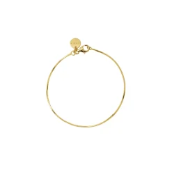 Armband Sheer Mirror Guld