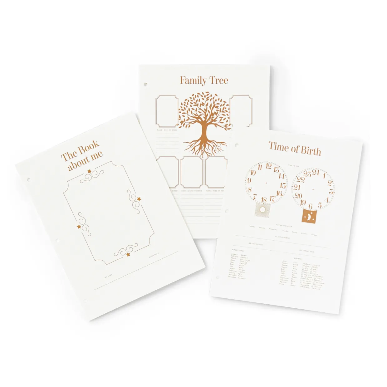 Baby Album Insert Paper - My First Year Multi