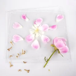 Blompress Ängsfälla Fönster