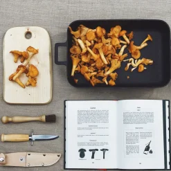 Bok Din Skogshandbok