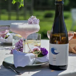 Bok Vilda drinkar - en smak av naturen