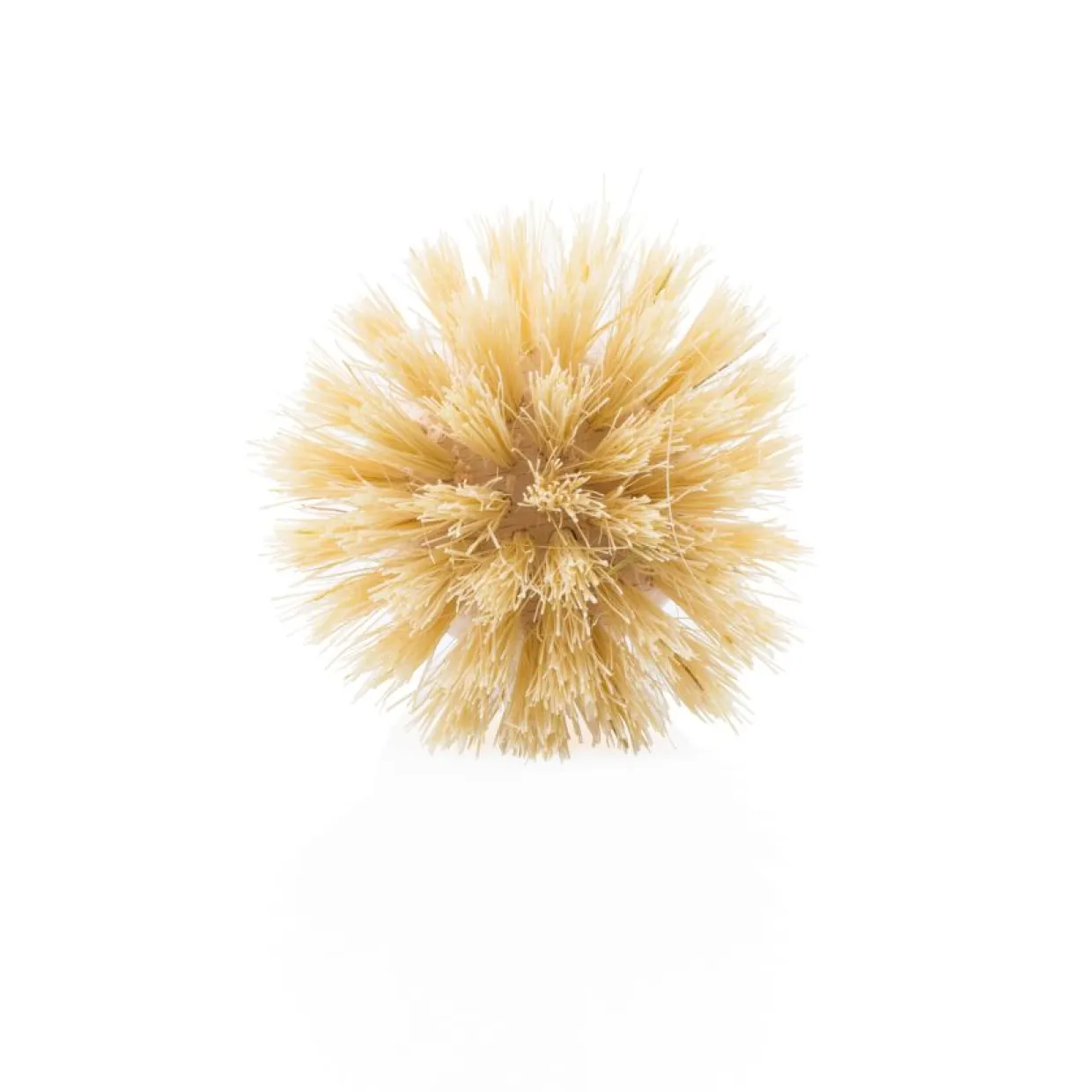 Borsthuvud diskborste hård