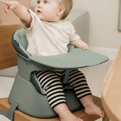 Bärbar barnstol Hannie Sage Green