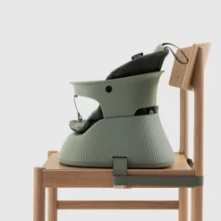 Bärbar barnstol Hannie Sage Green