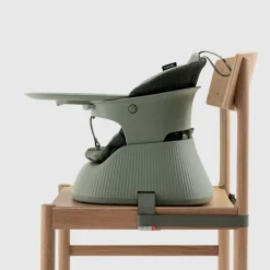 Bärbar barnstol Hannie Sage Green