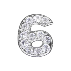 DRMZ 6 - Silver Rhinestone