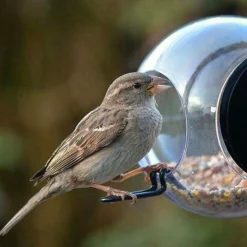 Fågelmatare med sugpropp
