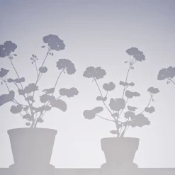 Fönstermönster Pelargon liten