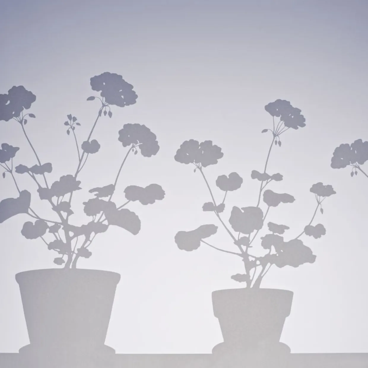 Fönstermönster Pelargon liten