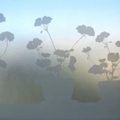 Fönstermönster Pelargon liten