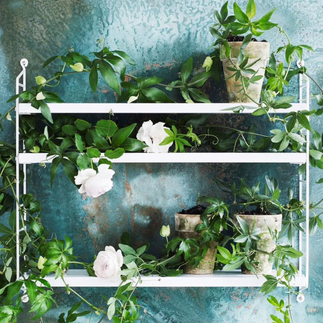 Hylla Pocket String vit