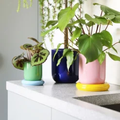 Kruka Churros S Grön/Blå