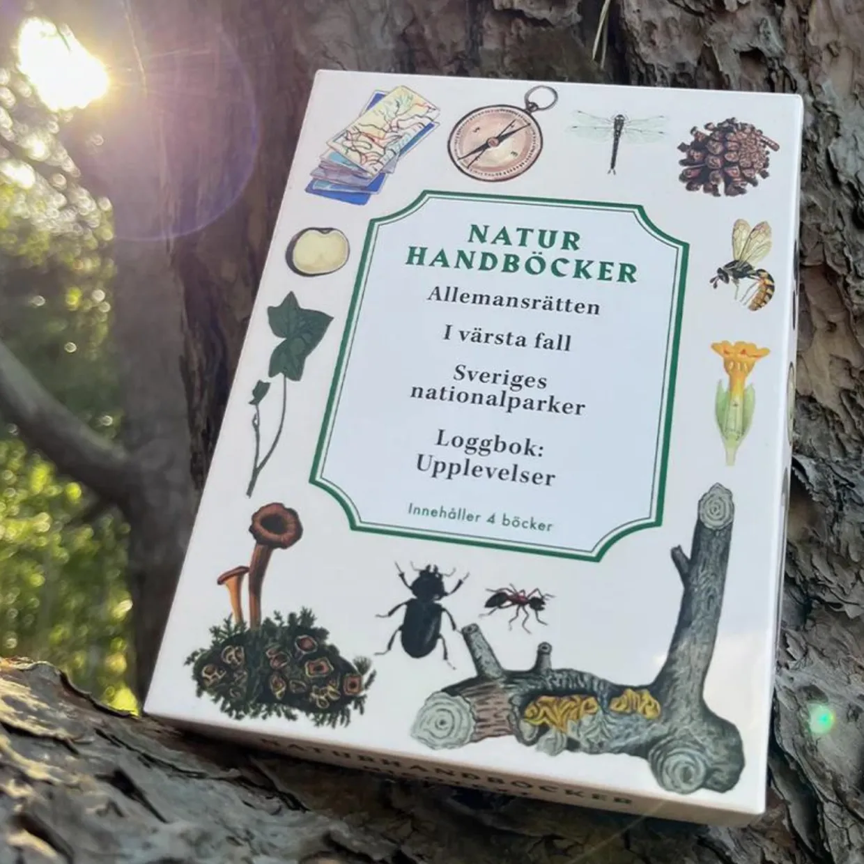 Naturhandböcker: Allemansrätten