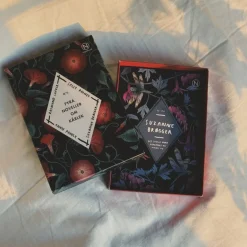 Novellix Fyra noveller om kärlek II