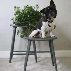 Pall Emil Mörk Grön