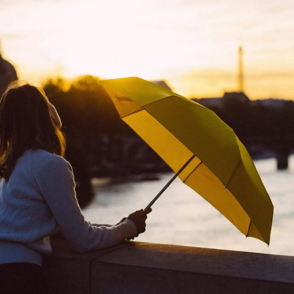 Paraply Enfärgad Martin Gul