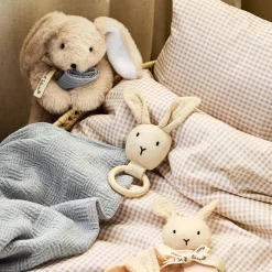 Presentbox Etienne skallra + filt Blå