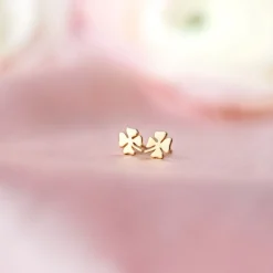 Örhängen Bring Me Luck Guld