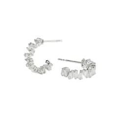 Örhängen Iggy Silver