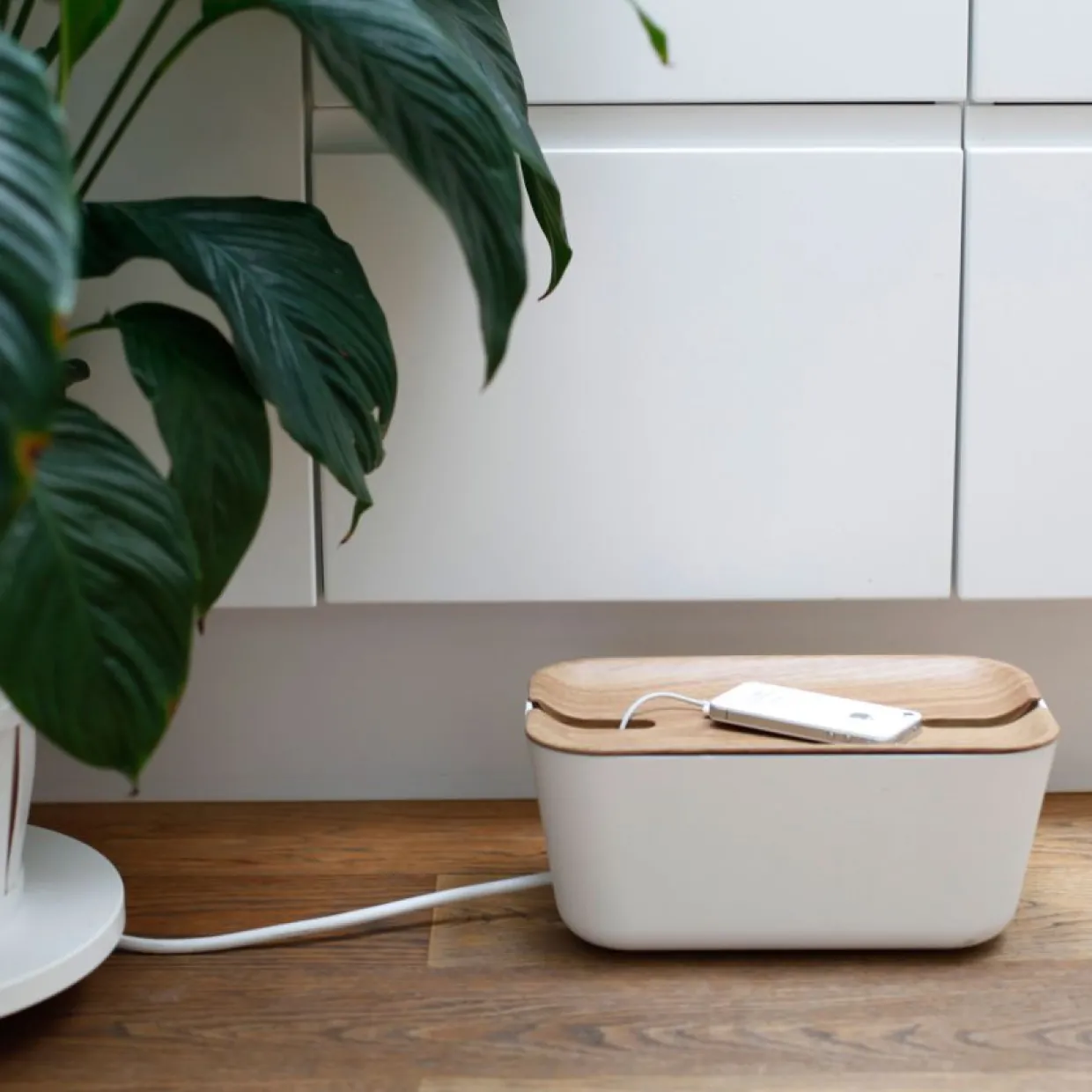 Sladdgömma Hideaway trämönster