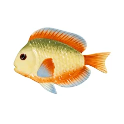 Tallrik fisk rainbow