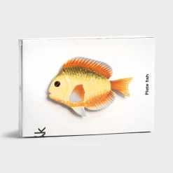 Tallrik fisk rainbow