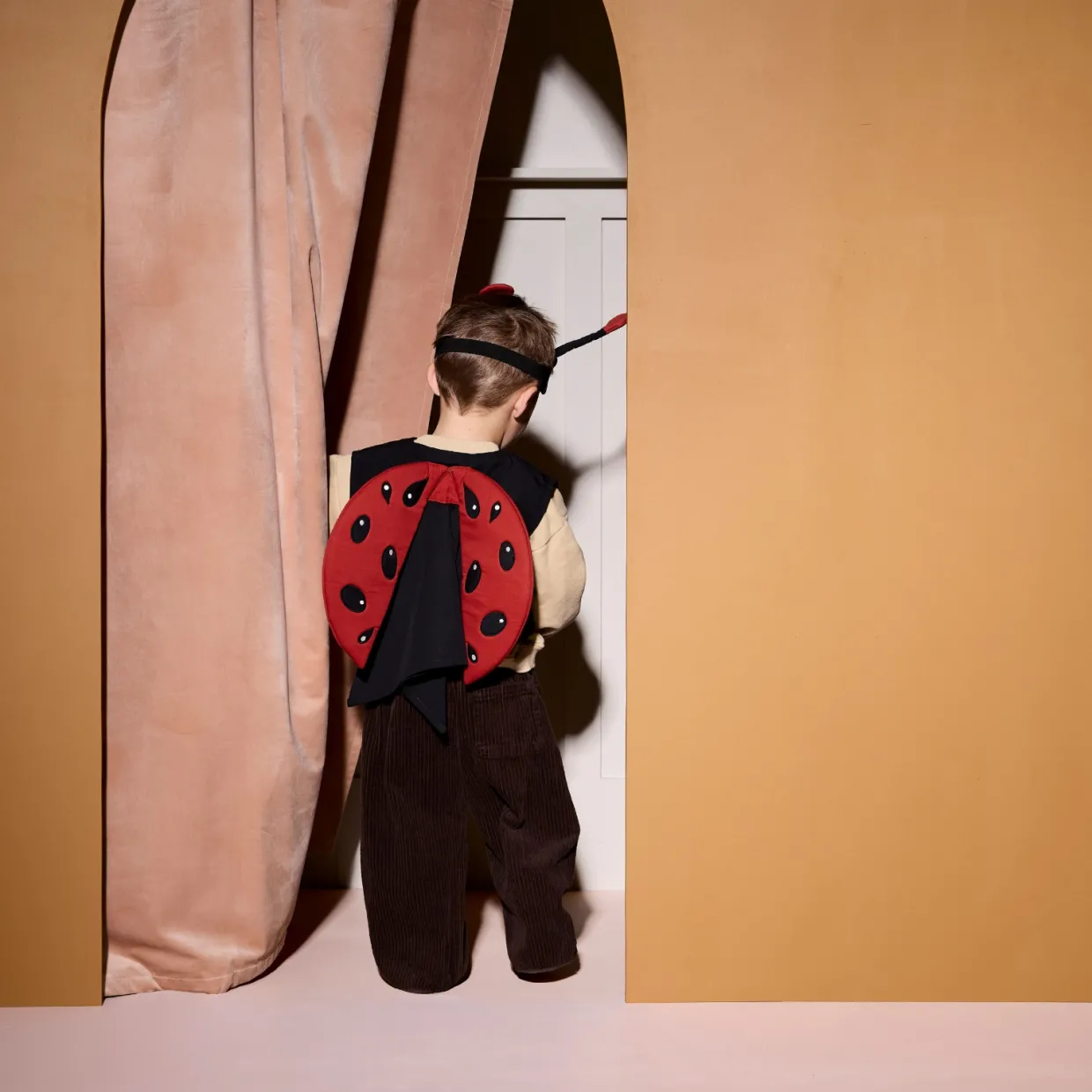 Utklädnad Nyckelpiga set