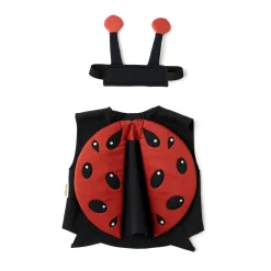 Utklädnad Nyckelpiga set