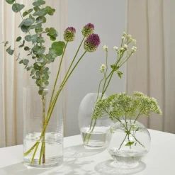 Vas Laine 13x25cm Klar