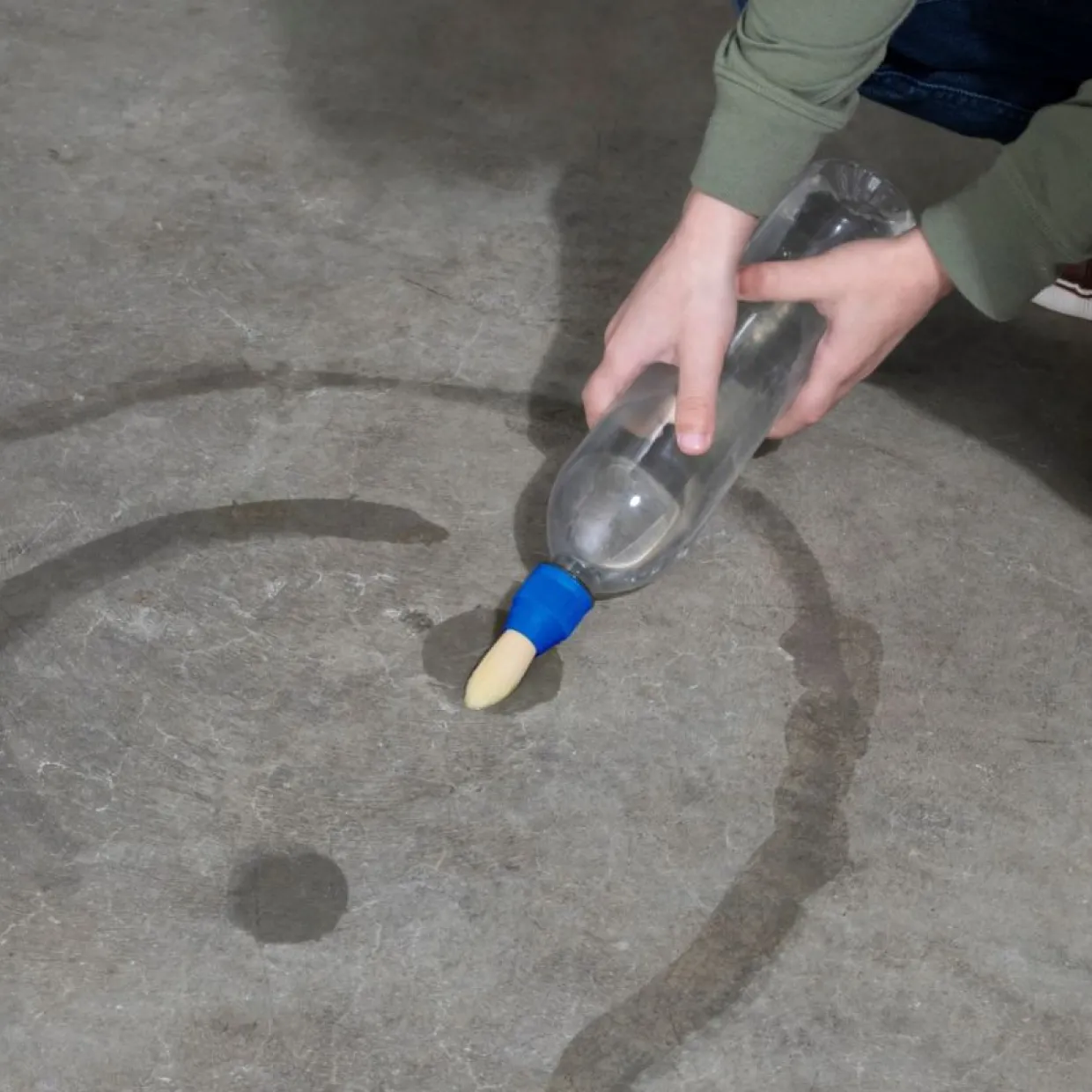 Vattenborste Huckleberry