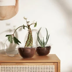 Växthus Grow Glas L