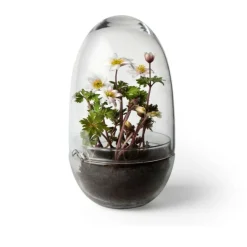 Växthus Grow Glas M