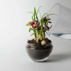 Växthus Grow Glas M