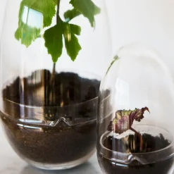 Växthus Grow Glas M