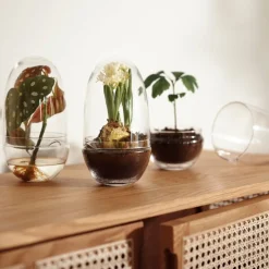 Växthus Grow Glas M