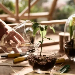 Växthus Grow Glas M