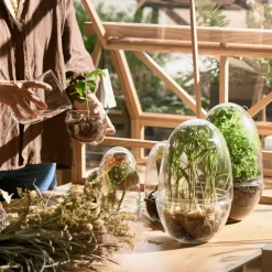 Växthus Grow Glas M