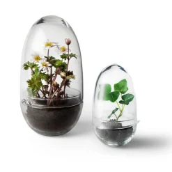 Växthus Grow Glas S