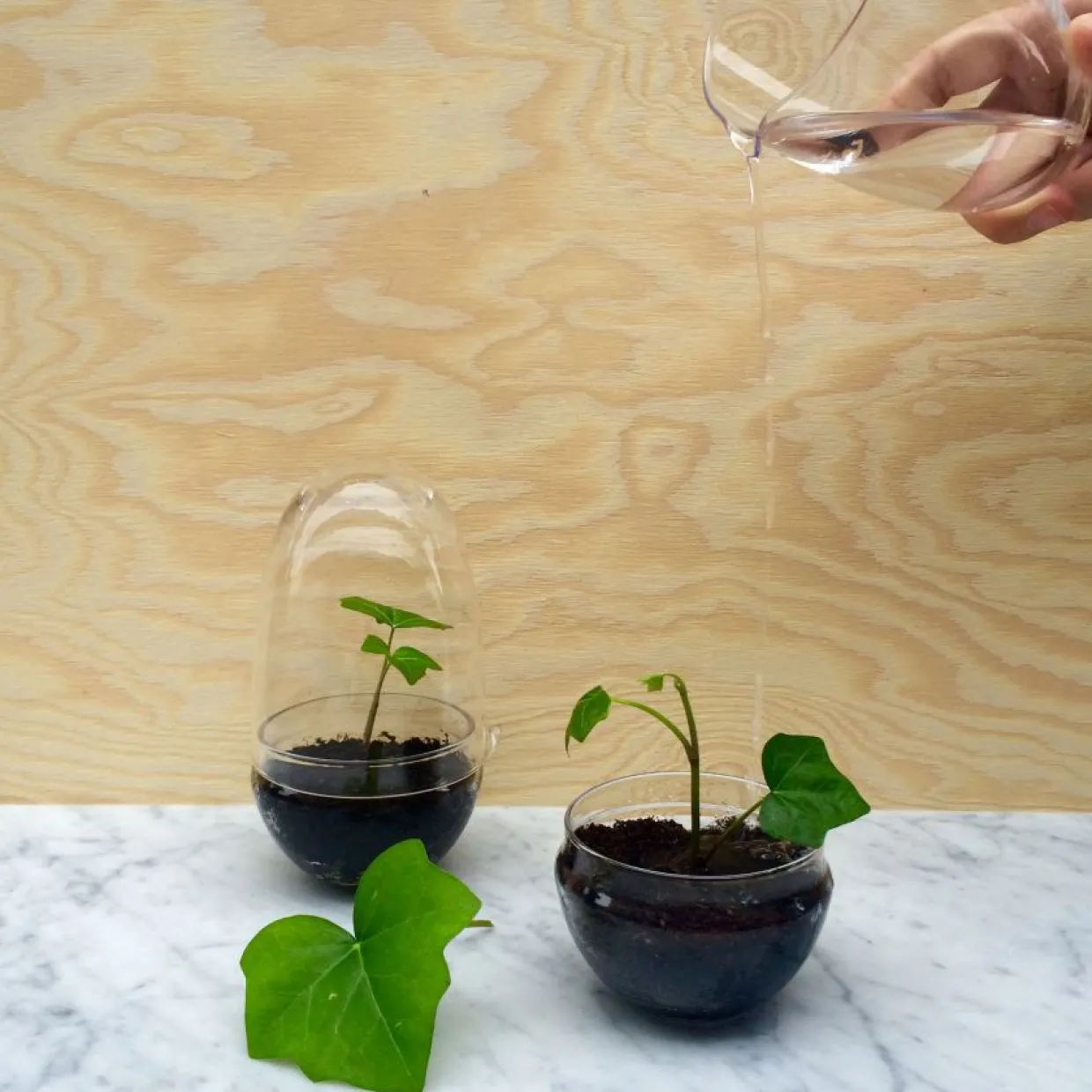 Växthus Grow Glas S